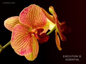 Creative Truth: Execution is Essential